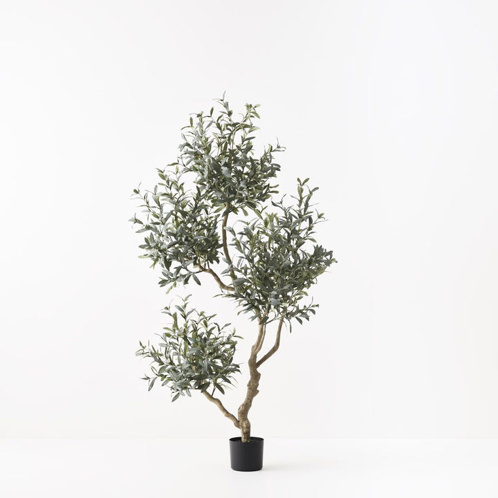 Artificial olive tree with five trunks 190cm
