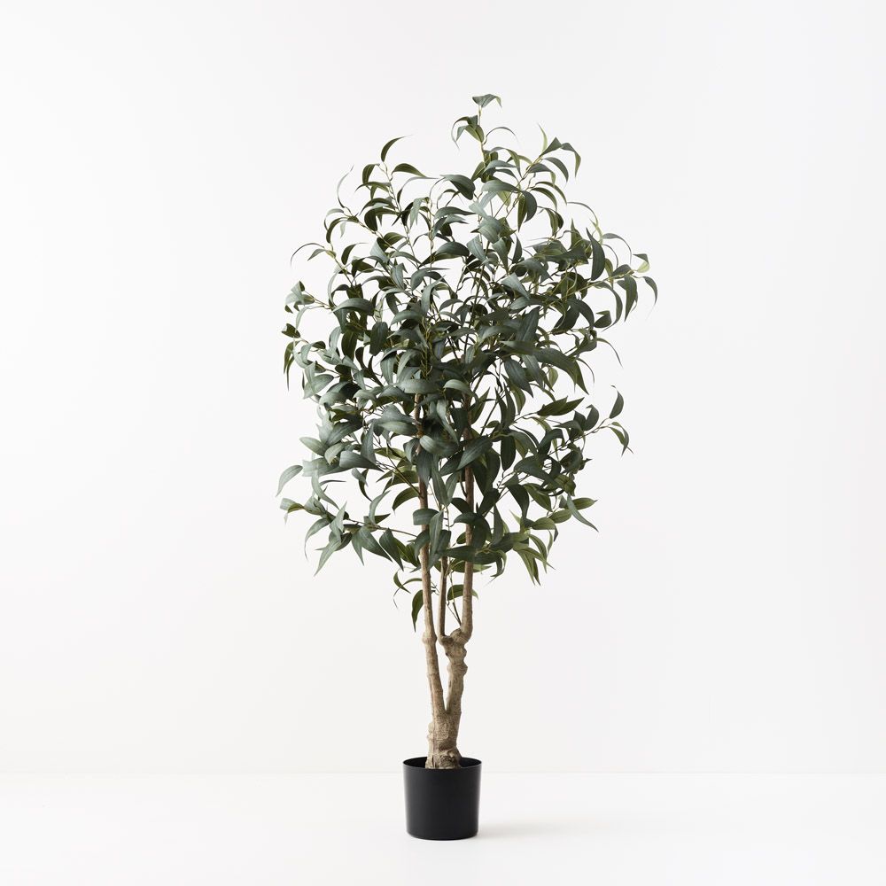 Artificial eucalyptus long leaf tree 180cm