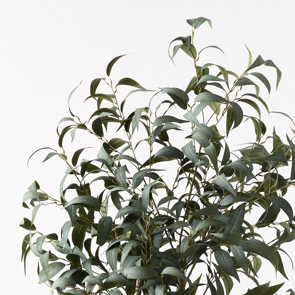 Artificial eucalyptus long leaf tree 180cm – view 2