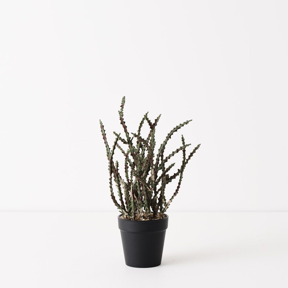 Artificial alhagi plant 28cm