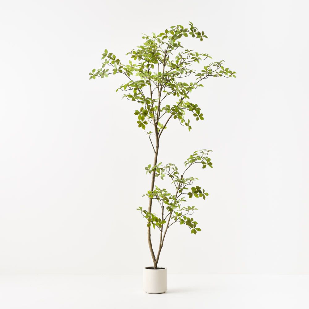 Artificial cape jasmine tree 200cm