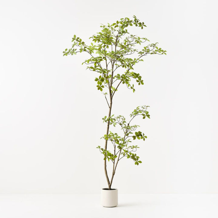 Artificial cape jasmine tree 200cm