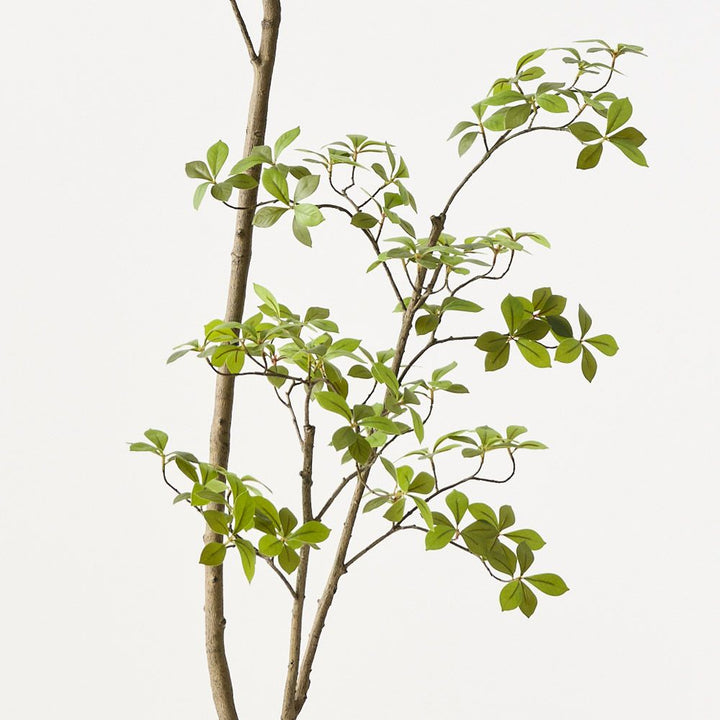Artificial cape jasmine tree 200cm – view 2