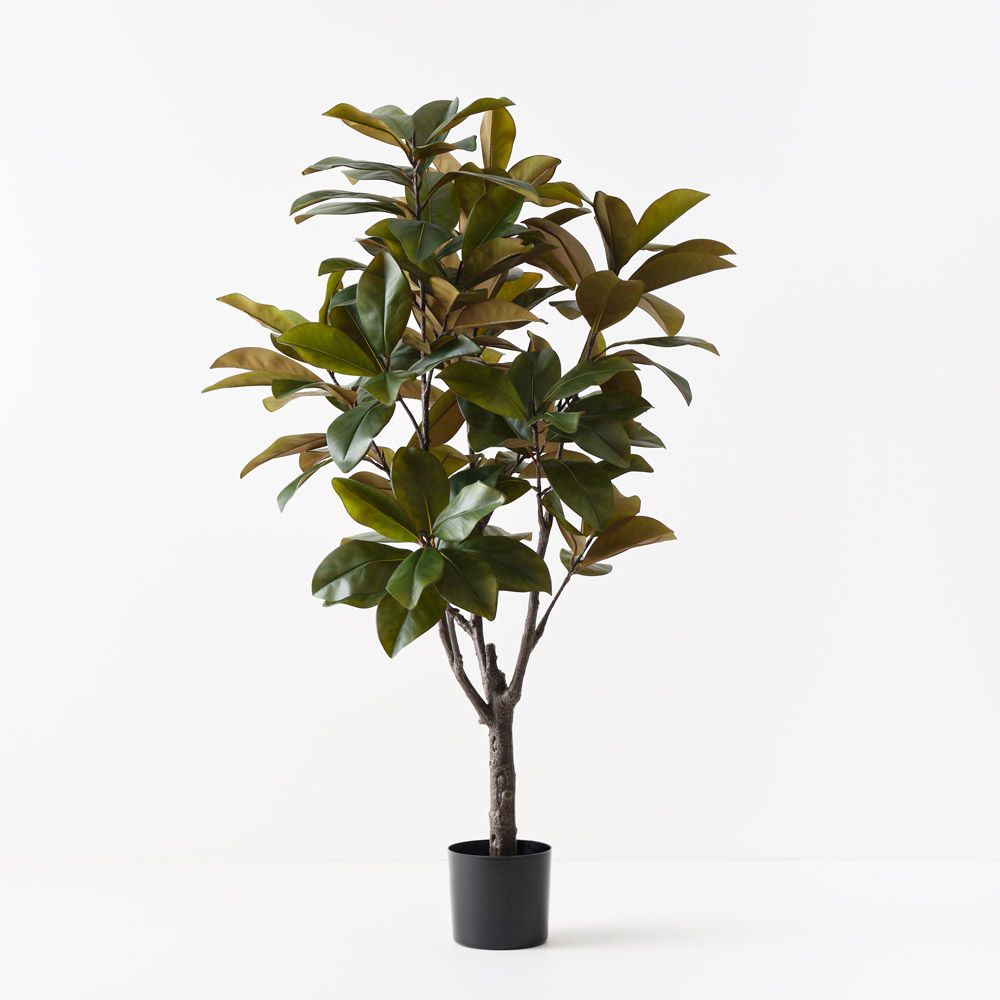 Artificial rubber tree 160cm