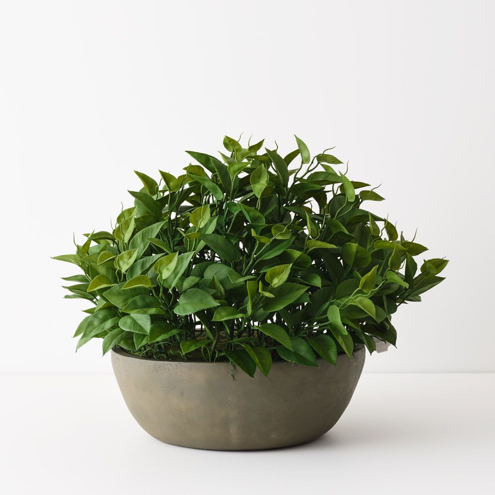 Artificial philodendron plant in khaki bowl 48cm