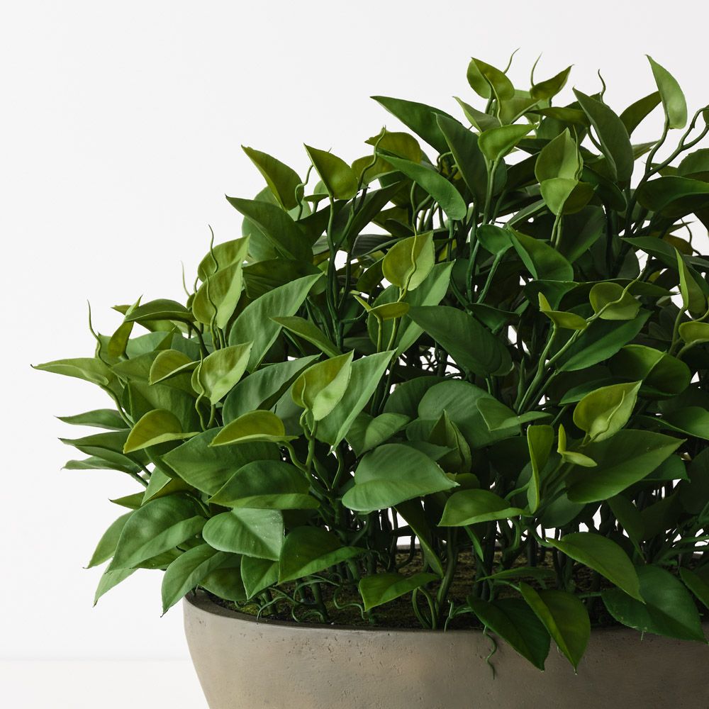 Artificial philodendron plant in khaki bowl 48cm – view 2