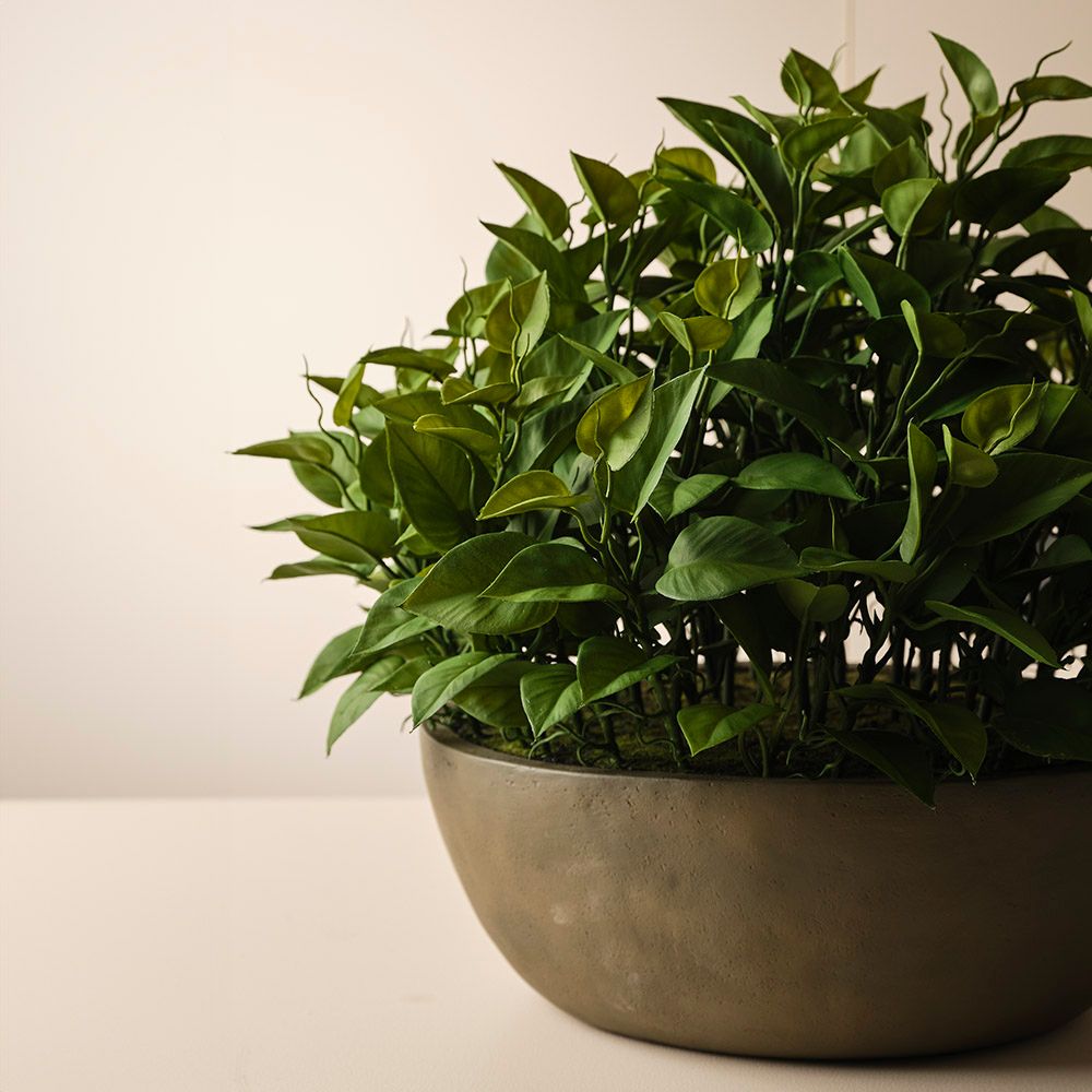 Artificial philodendron plant in khaki bowl 48cm – view 3