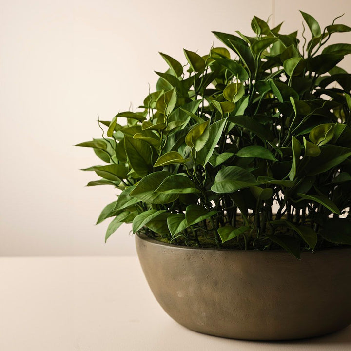 Artificial philodendron plant in khaki bowl 48cm – view 3