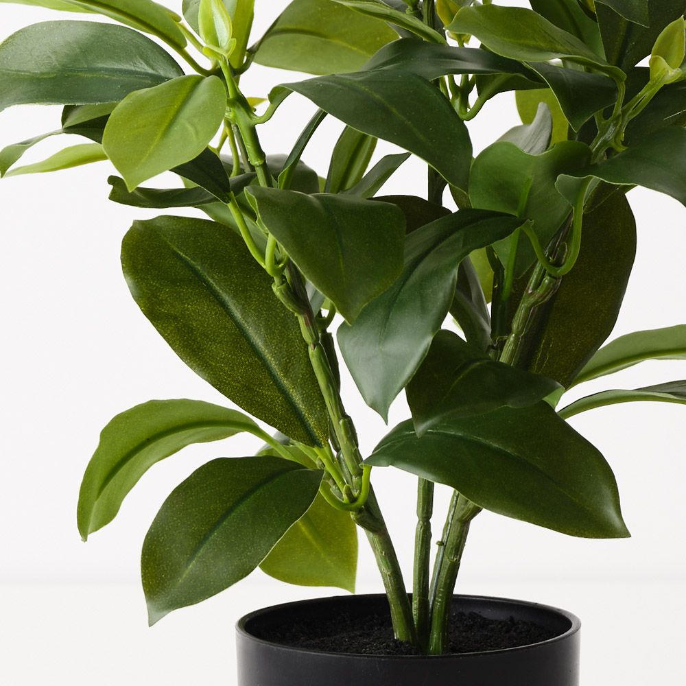 Artificial fagraea ceilanica plant 38cm – view 2
