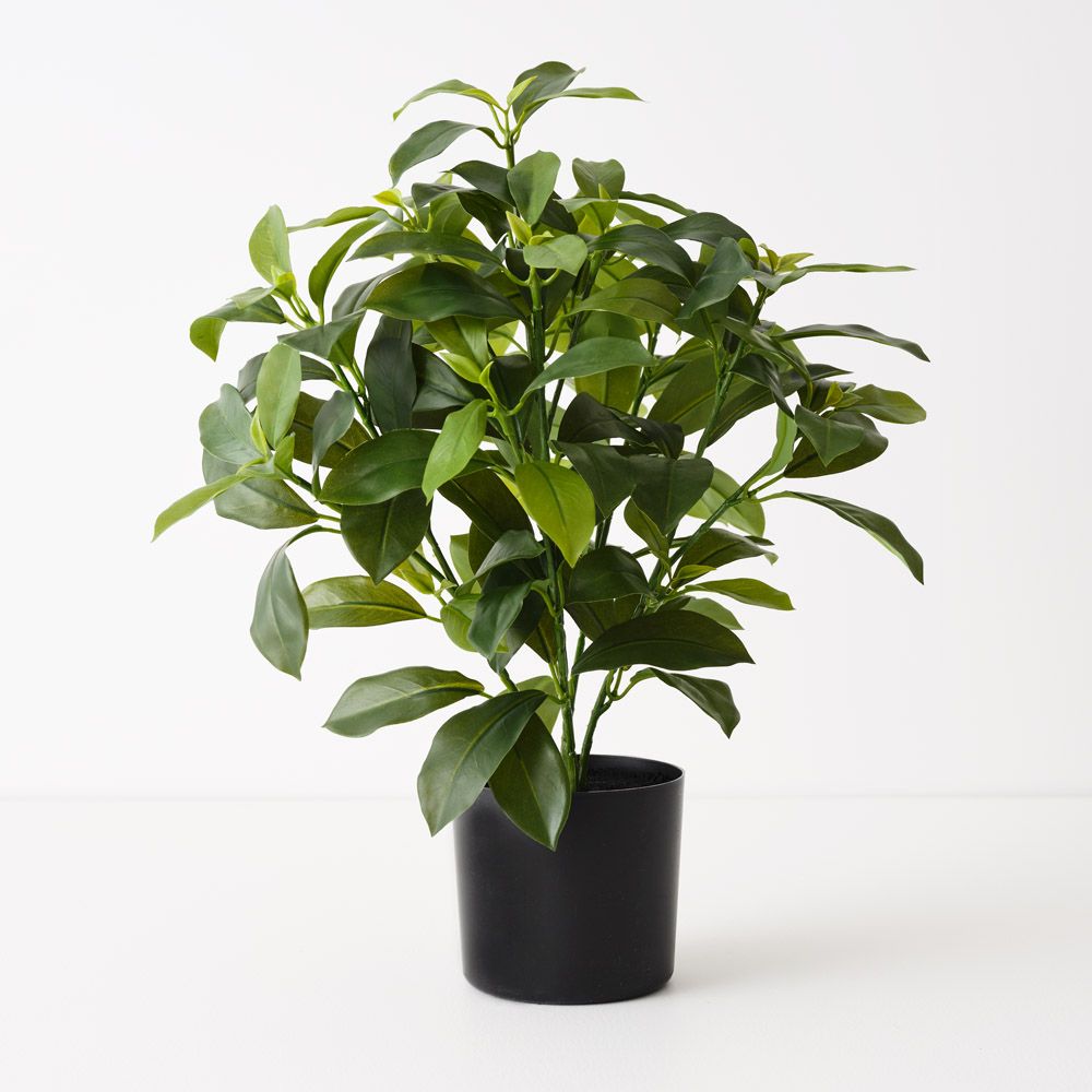 Artificial fagraea ceilanica plant 46cm