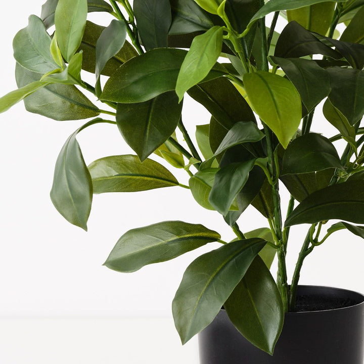Artificial fagraea ceilanica plant 46cm – view 2