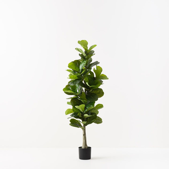 Artificial fiddle leaf fig tree 150cm