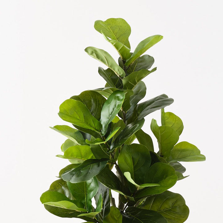 Artificial fiddle leaf fig tree 150cm – view 2
