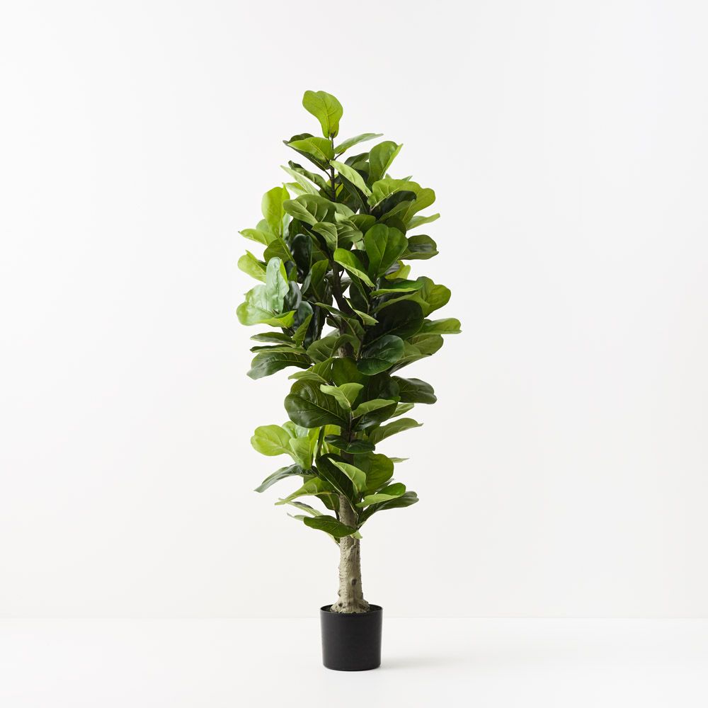 Artificial fiddle leaf fig tree 180cm
