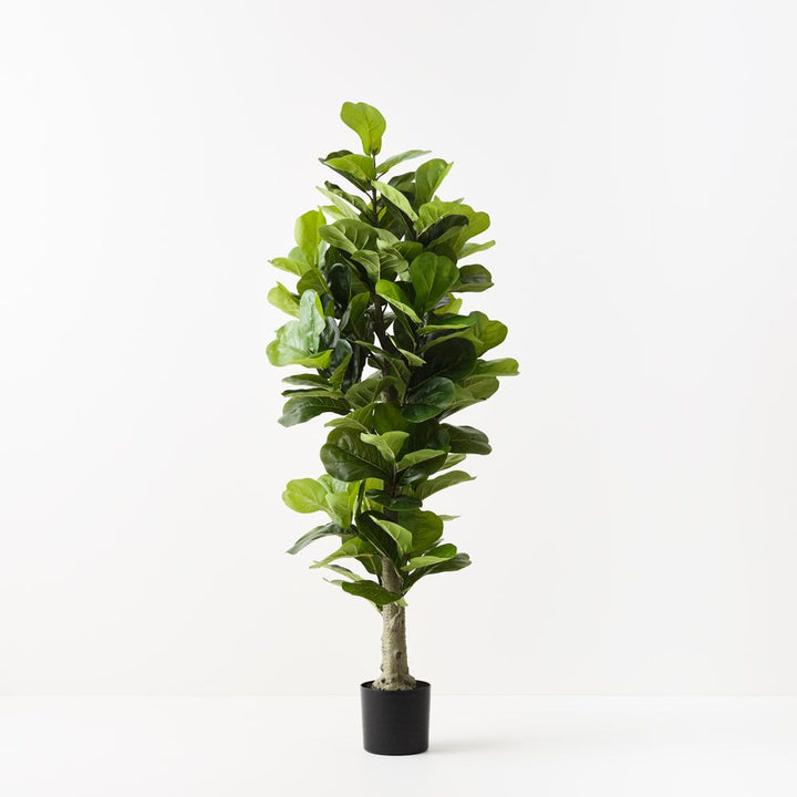 Artificial fiddle leaf fig tree 180cm