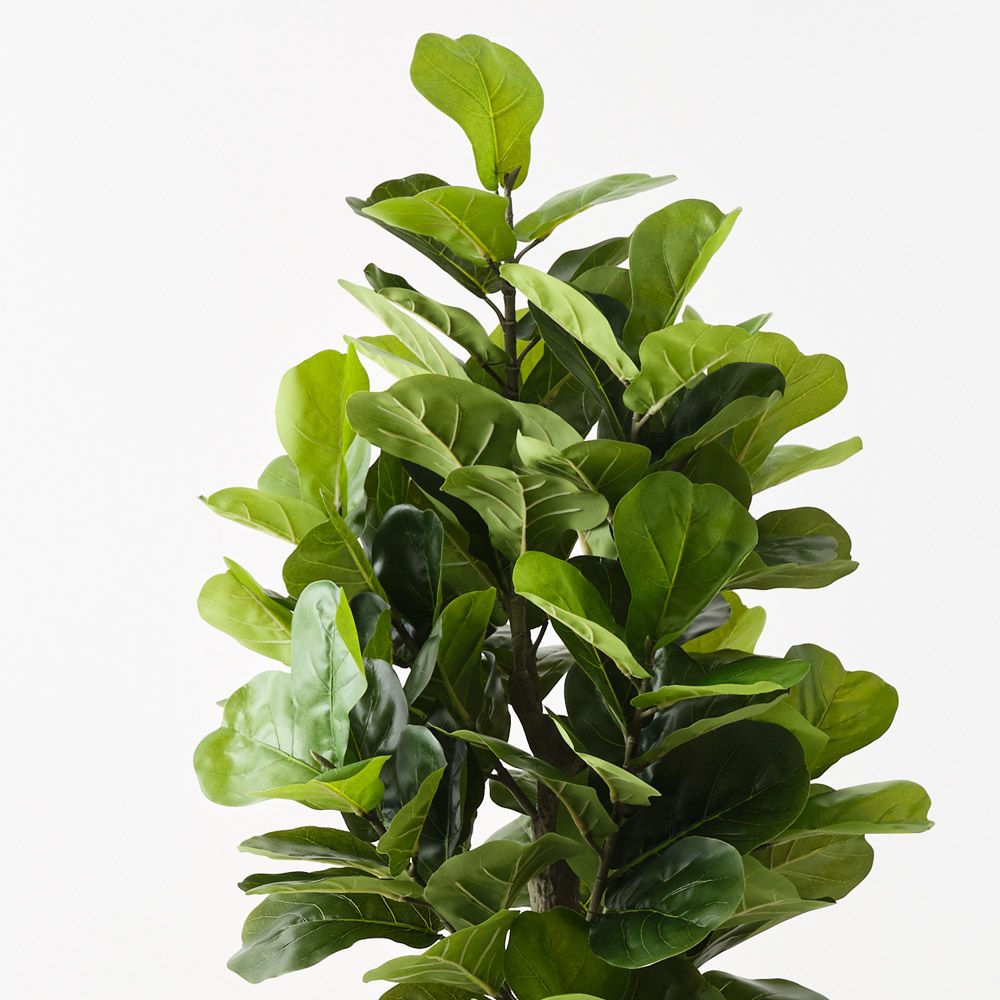 Artificial fiddle leaf fig tree 180cm – view 2