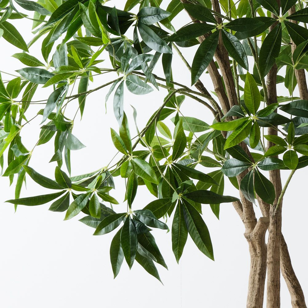 Artificial pachira aquatica money tree 290cm – view 2