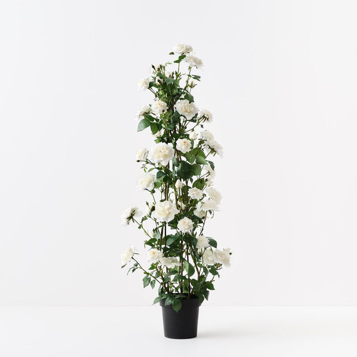 Artificial white English rose climbing plant 145cm