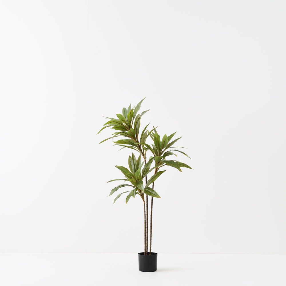 Artificial cordyline plant 120cm