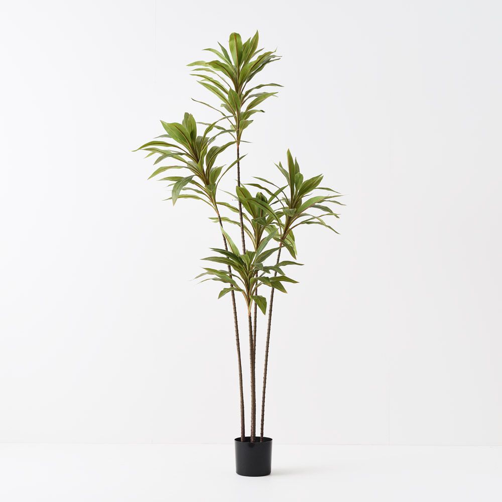 Artificial cordyline plant 180cm