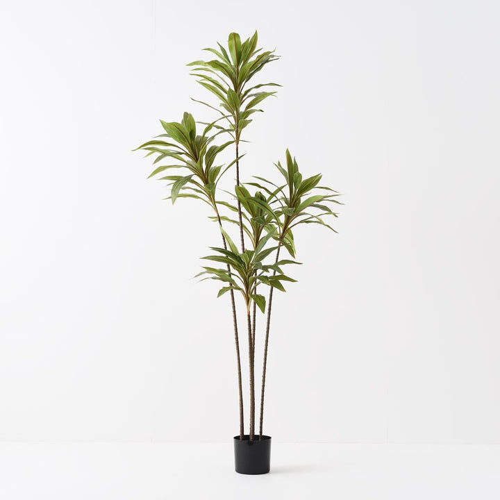 Artificial cordyline plant 180cm