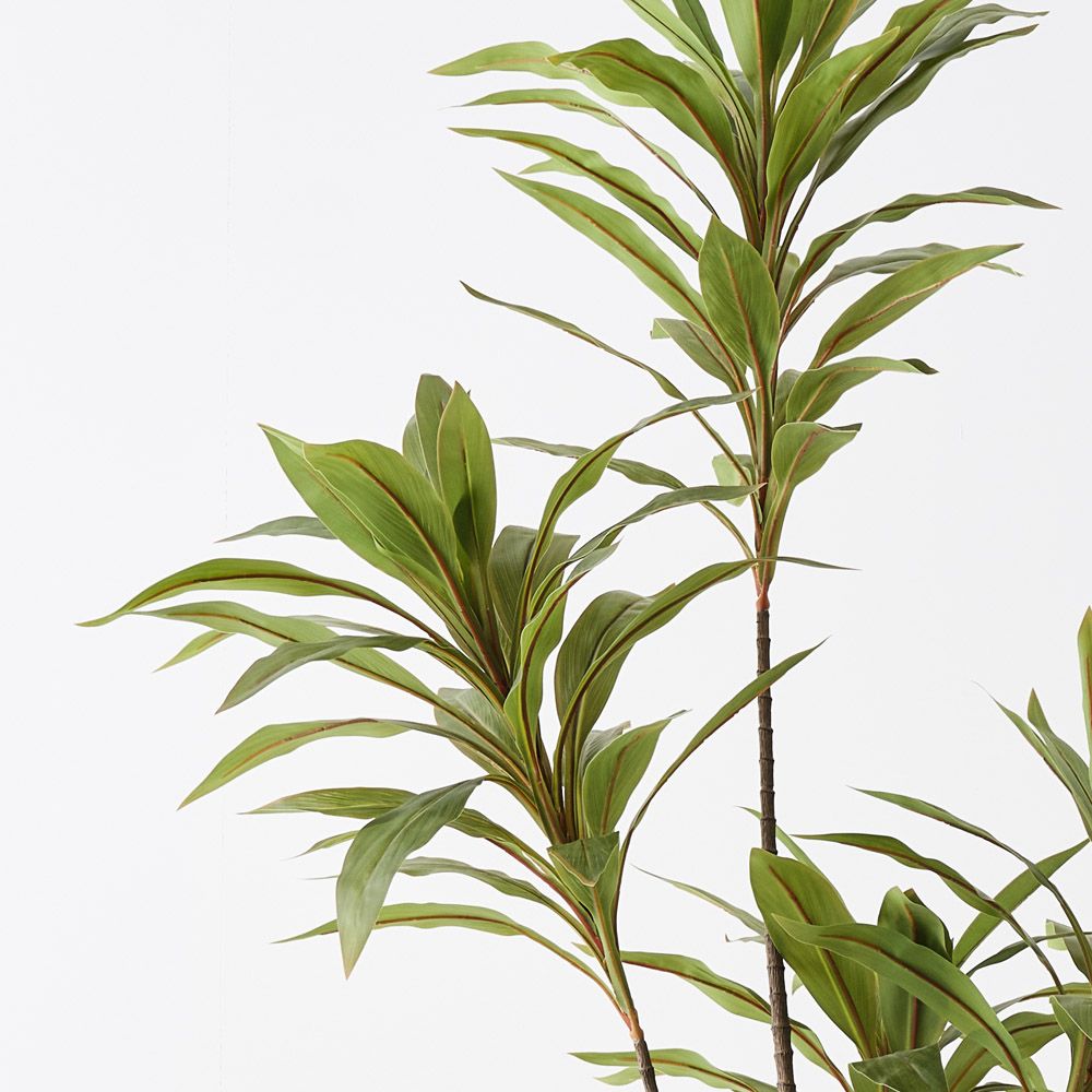 Artificial cordyline plant 180cm – view 2
