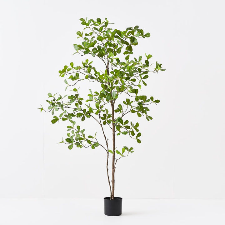 Artificial black olive tree 150cm
