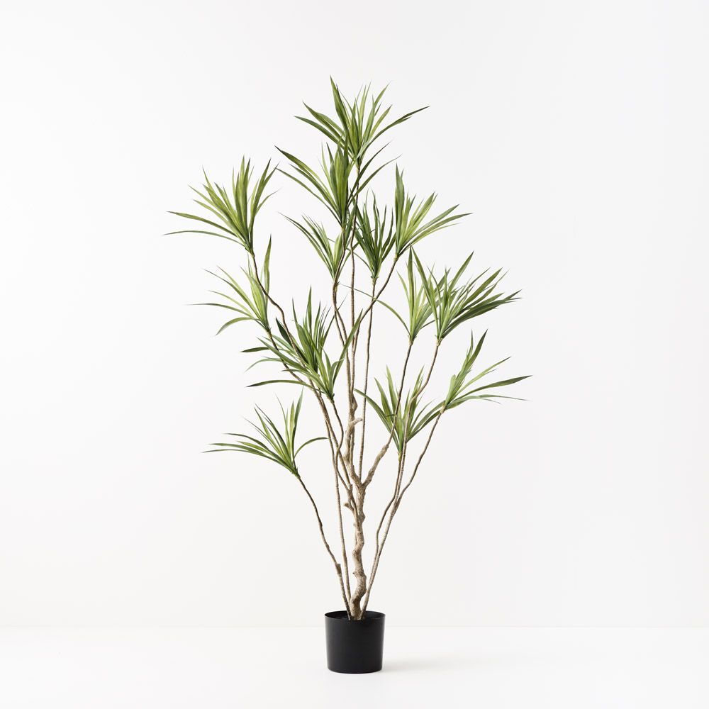 Artificial dracaena plant 180cm