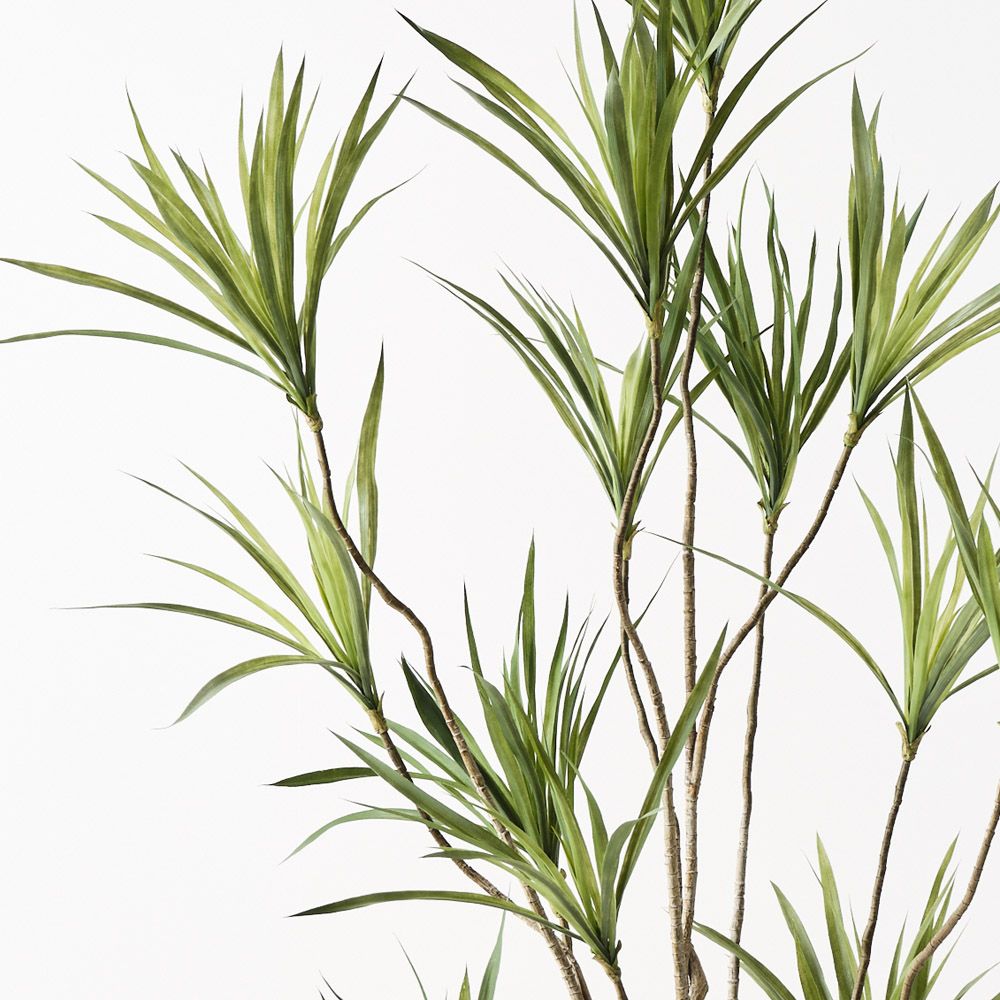 Artificial dracaena plant 180cm – view 2