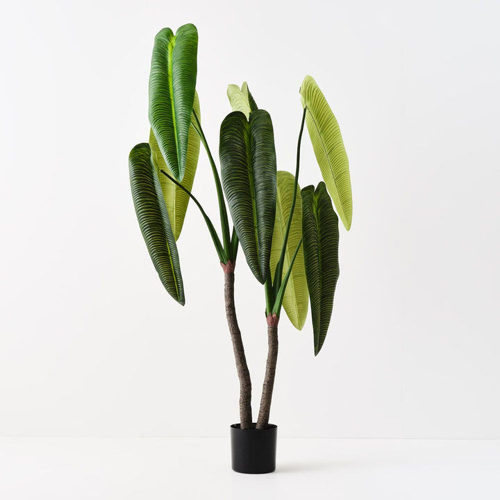 Artificial anthurium veitchii plant 180cm
