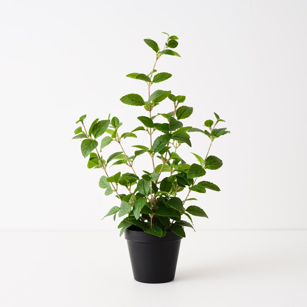 Artificial mint plant 52cm