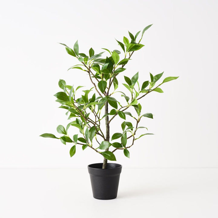 Artificial ficus plant 49cm
