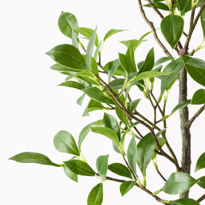 Artificial ficus plant 49cm – view 2