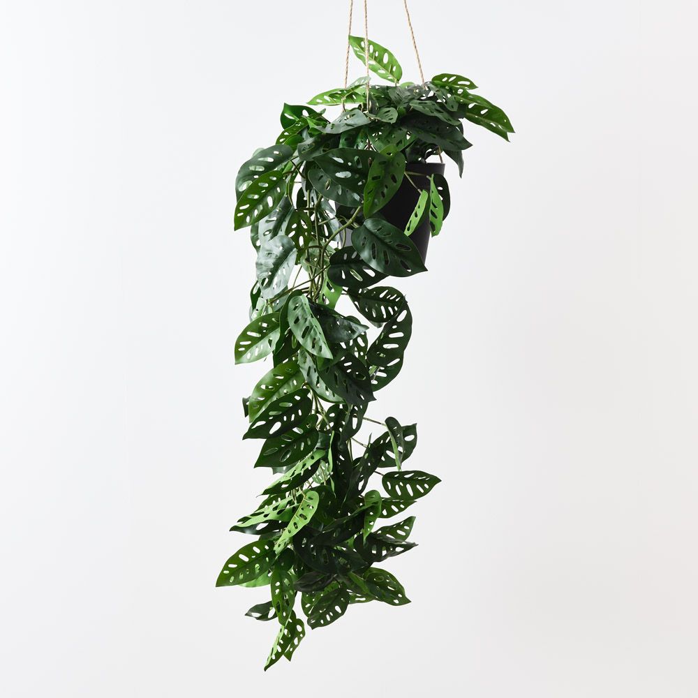 Artificial monstera adansonii hanging plant 110cm