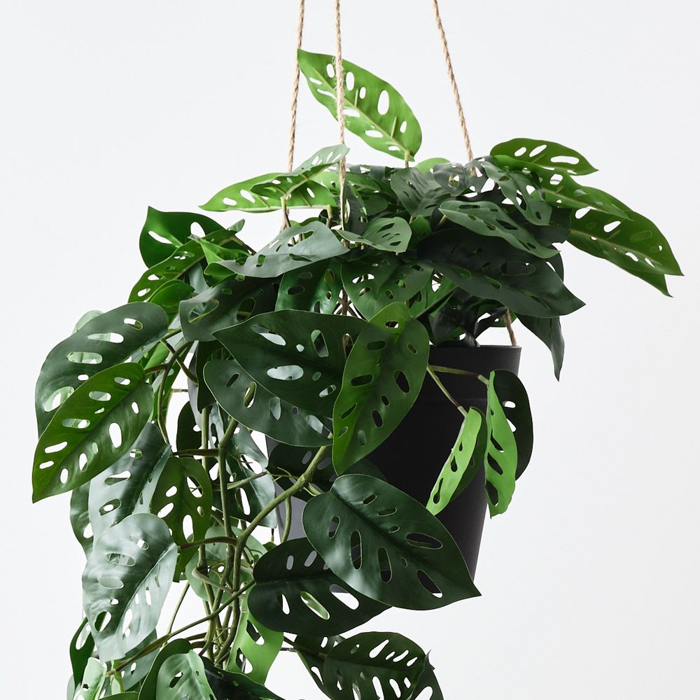 Artificial monstera adansonii hanging plant 110cm – view 2