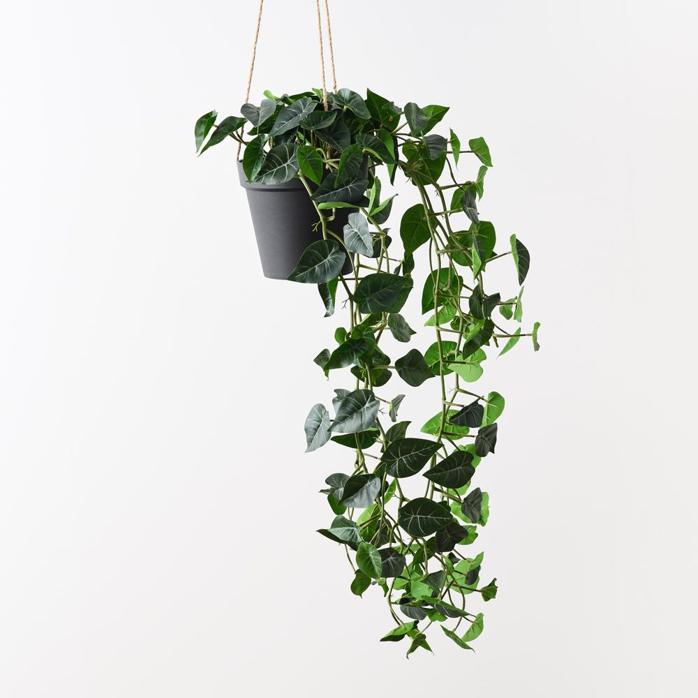 Artificial syngonium hanging plant 110cm