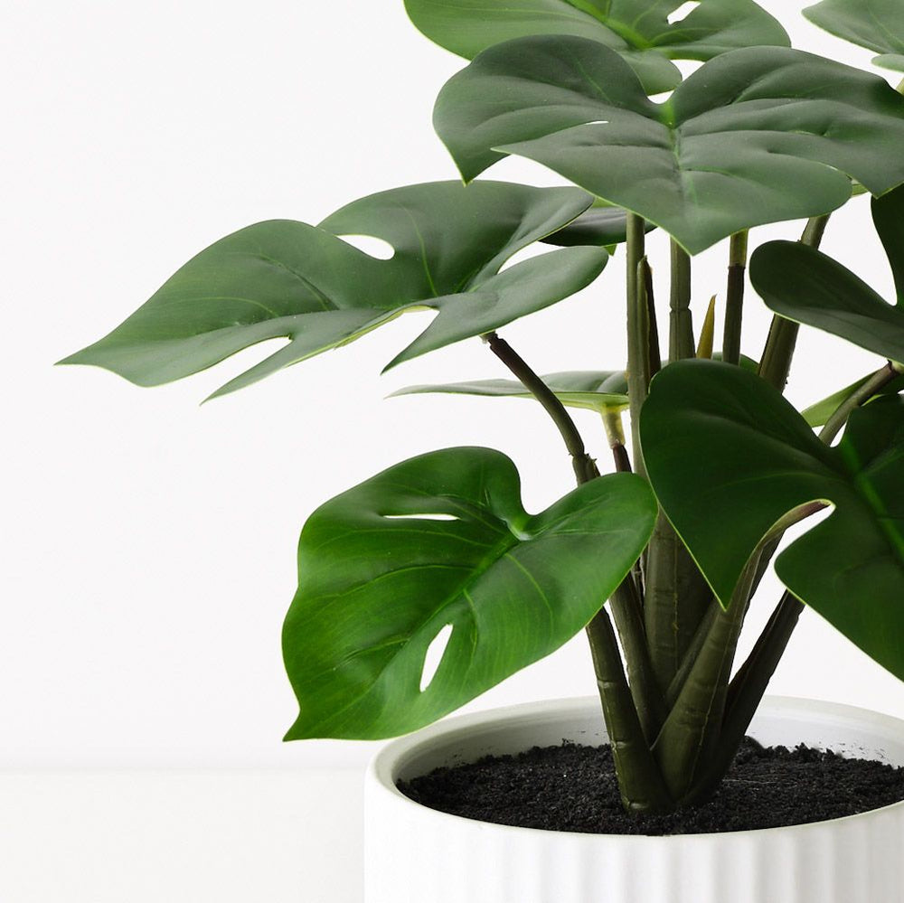 Artificial monstera plant in pleated white pot 25cm – view 2