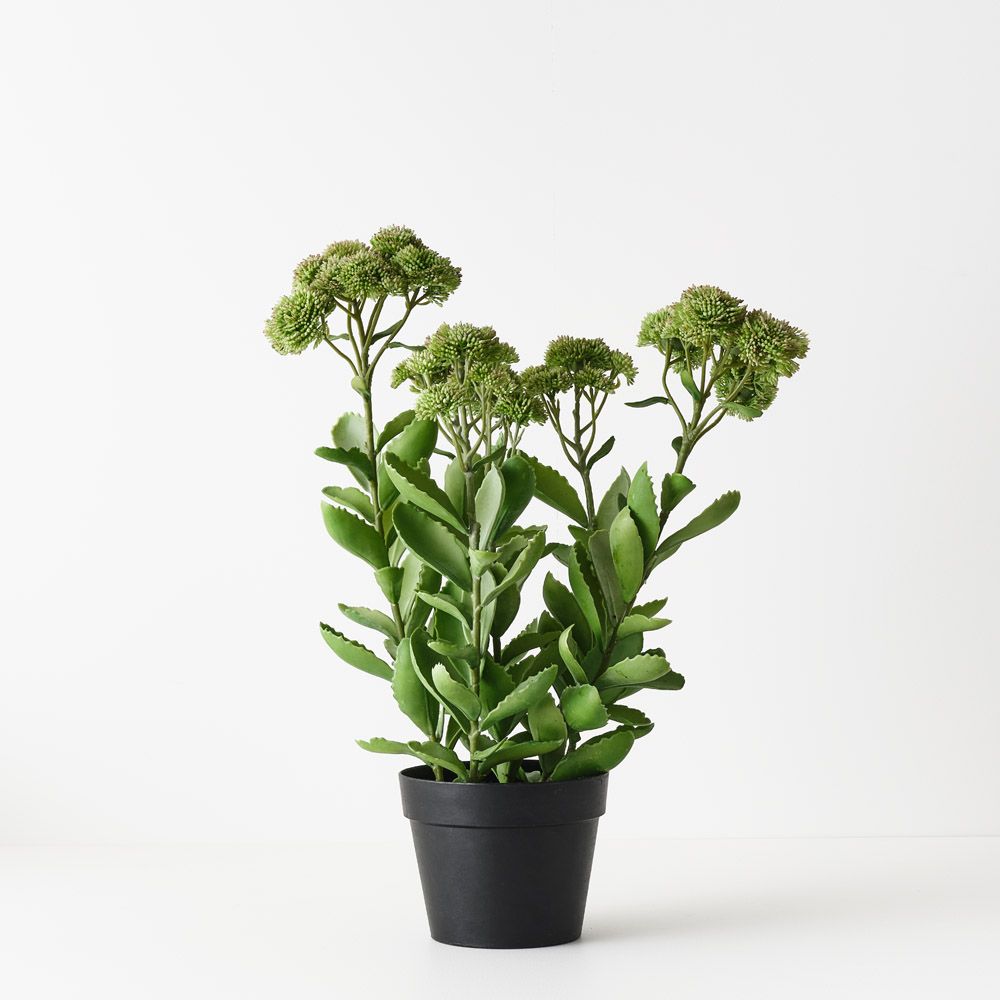Artificial sedum plant, green and pink, 58cm