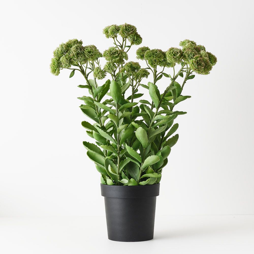Artificial sedum plant, green and pink, 78cm