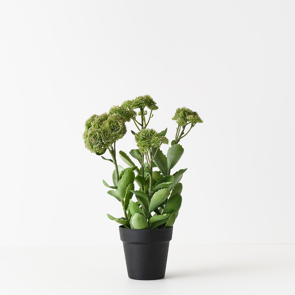 Artificial sedum plant, green and pink, 48cm