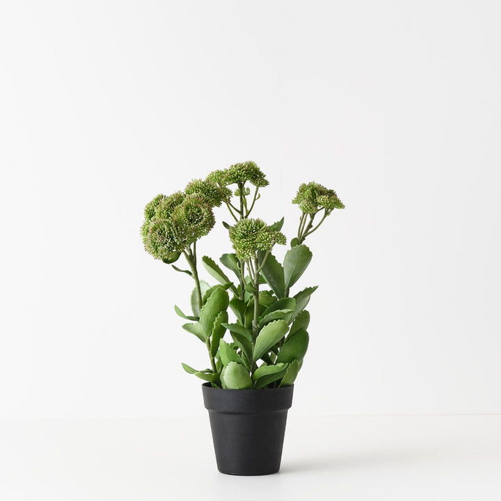Artificial sedum plant, green and pink, 48cm