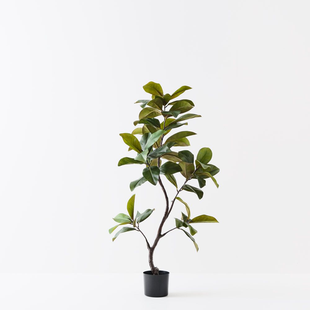 Artificial rubber tree 145cm