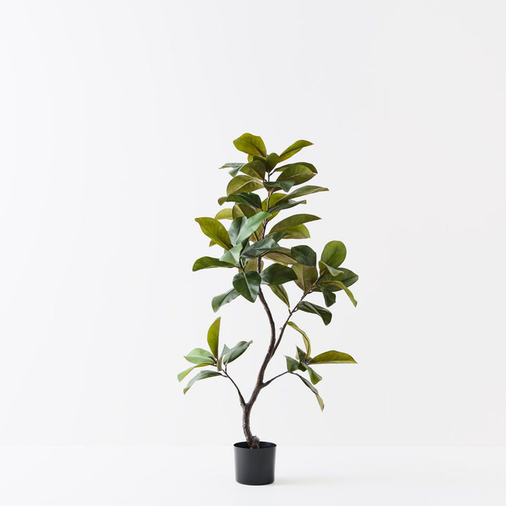 Artificial rubber tree 145cm