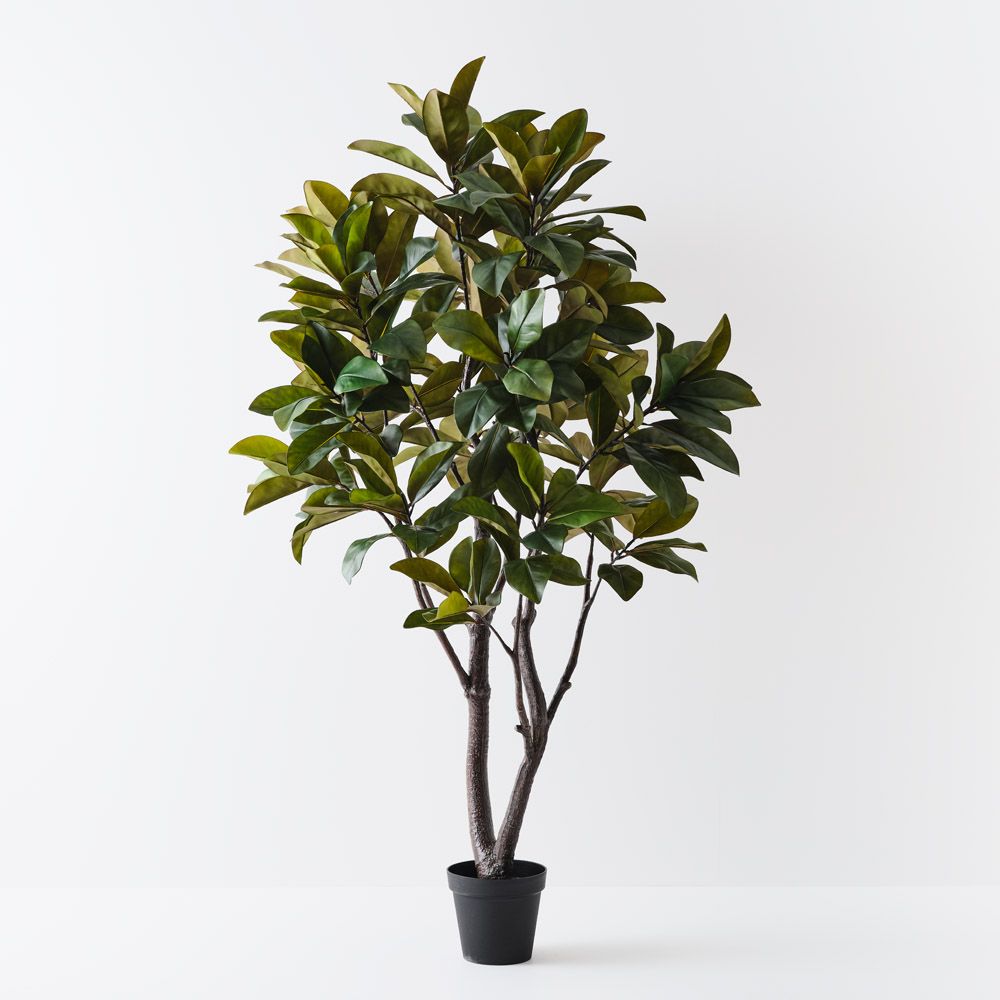 Artificial rubber tree 220cm
