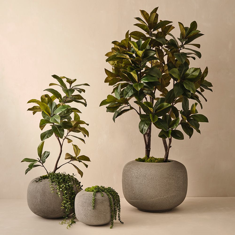 Artificial rubber tree 220cm – view 3