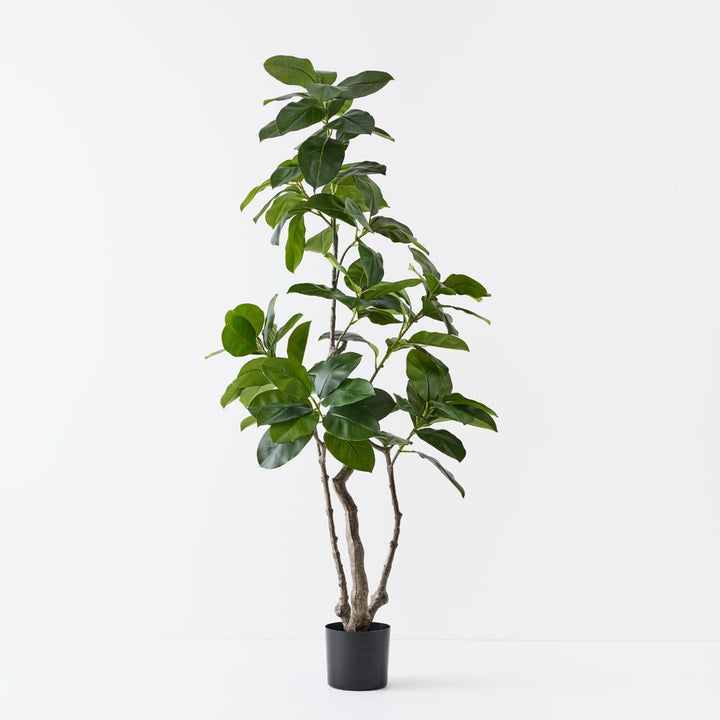 Artificial ficus altissima tree 180cm