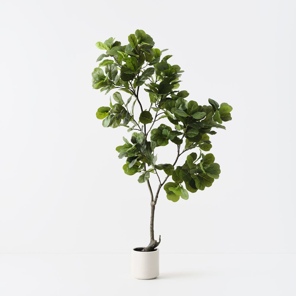 Artificial fiddle leaf fig tree 160cm