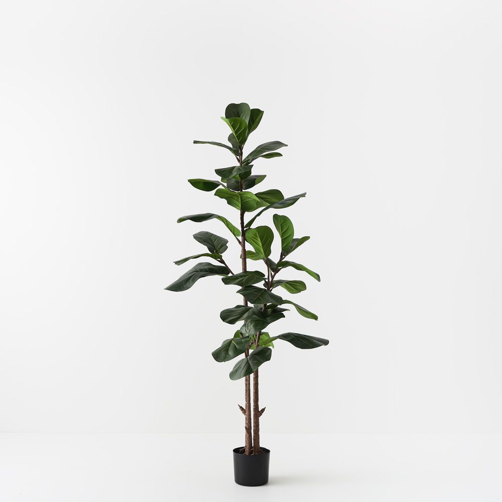 Artificial fiddle leaf fig tree 145cm