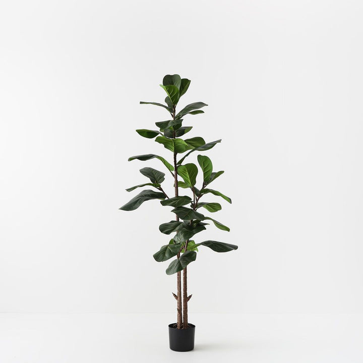 Artificial fiddle leaf fig tree 145cm