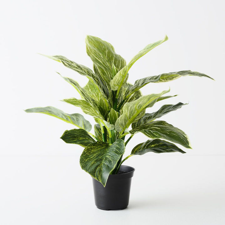 Artificial variegated dieffenbachia plant 43cm